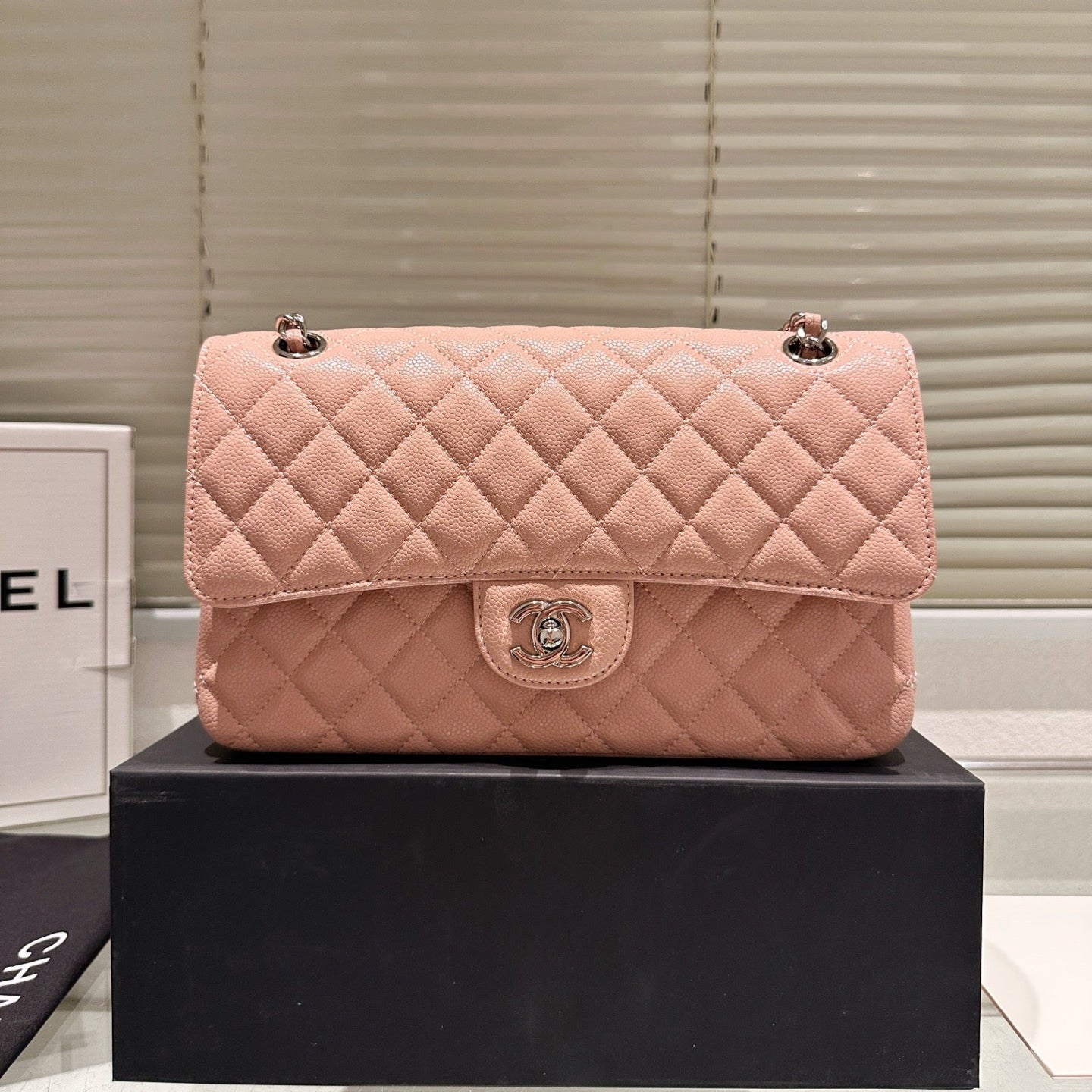 Classic Women's Silver Buckle Handbag