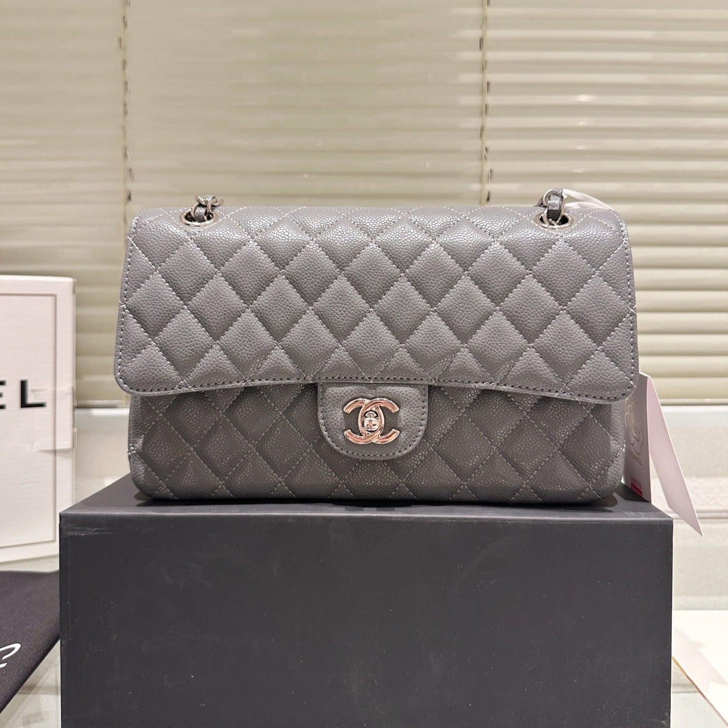 Classic Women's Silver Buckle Handbag