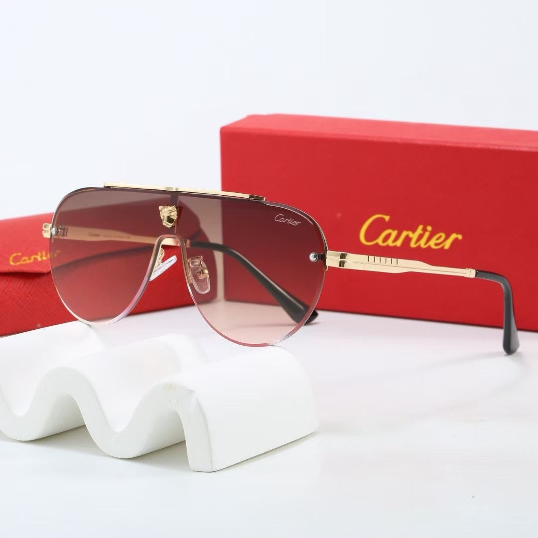 Large frame unisex sunglasses