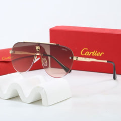 Large frame unisex sunglasses