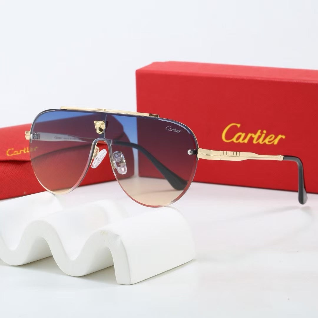Large frame unisex sunglasses