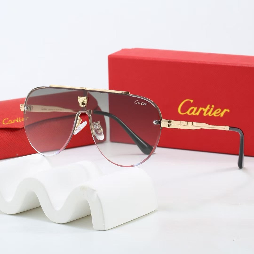 Large frame unisex sunglasses