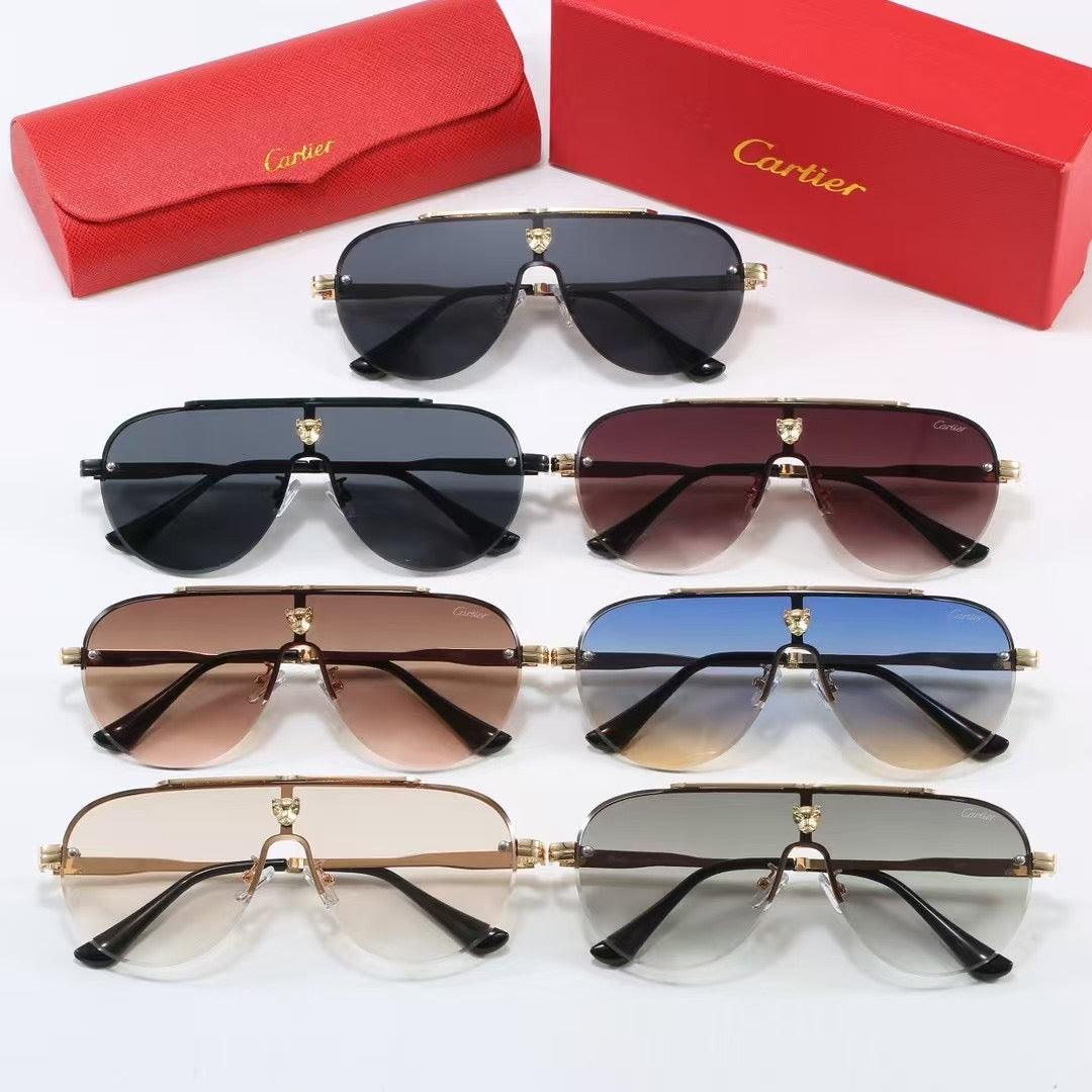 Large frame unisex sunglasses