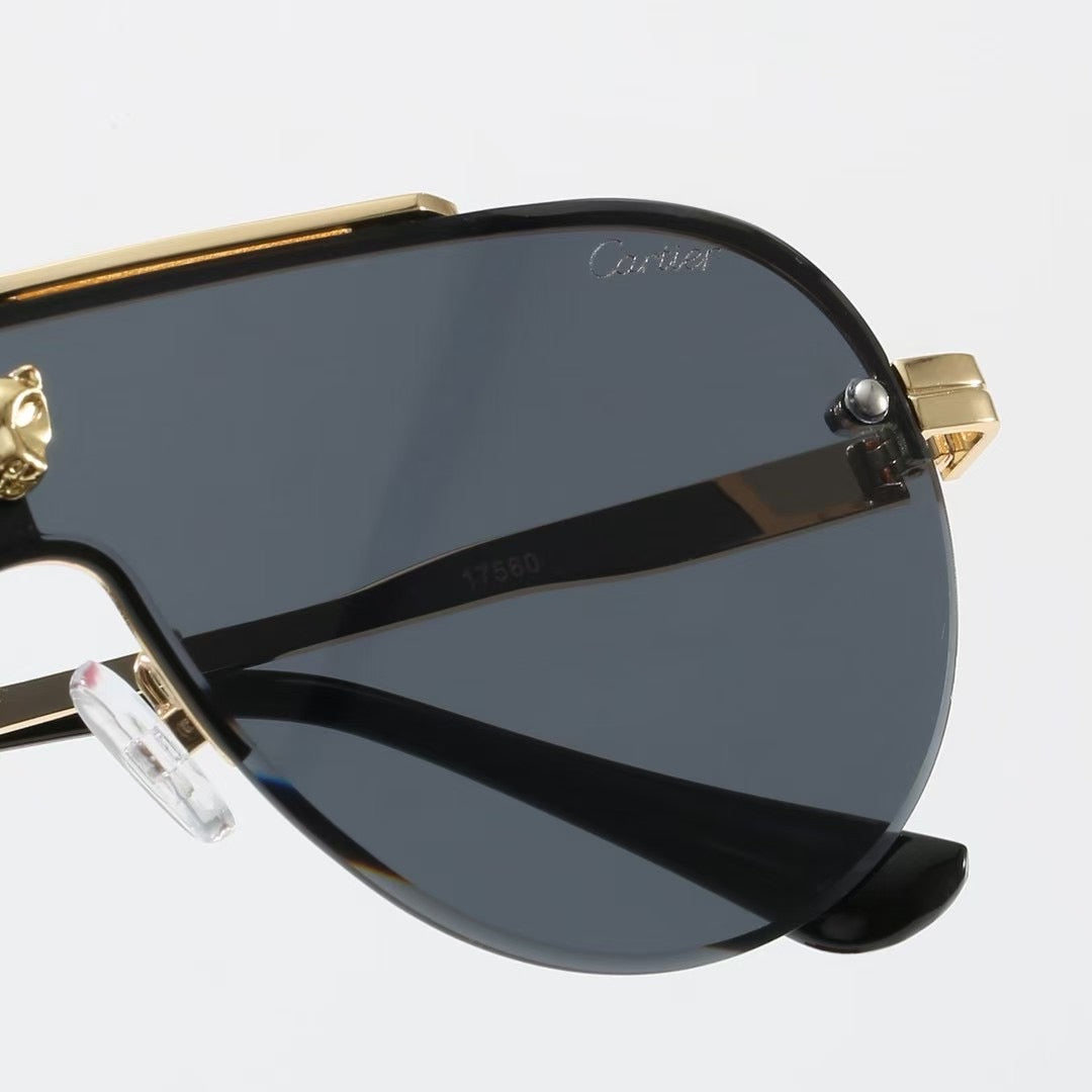 Large frame unisex sunglasses