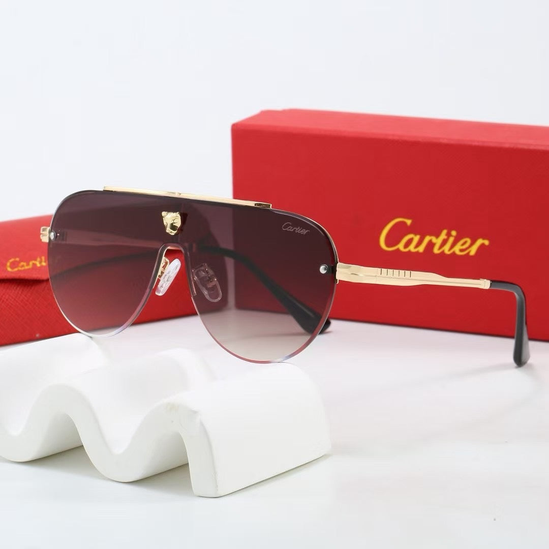 Large frame unisex sunglasses