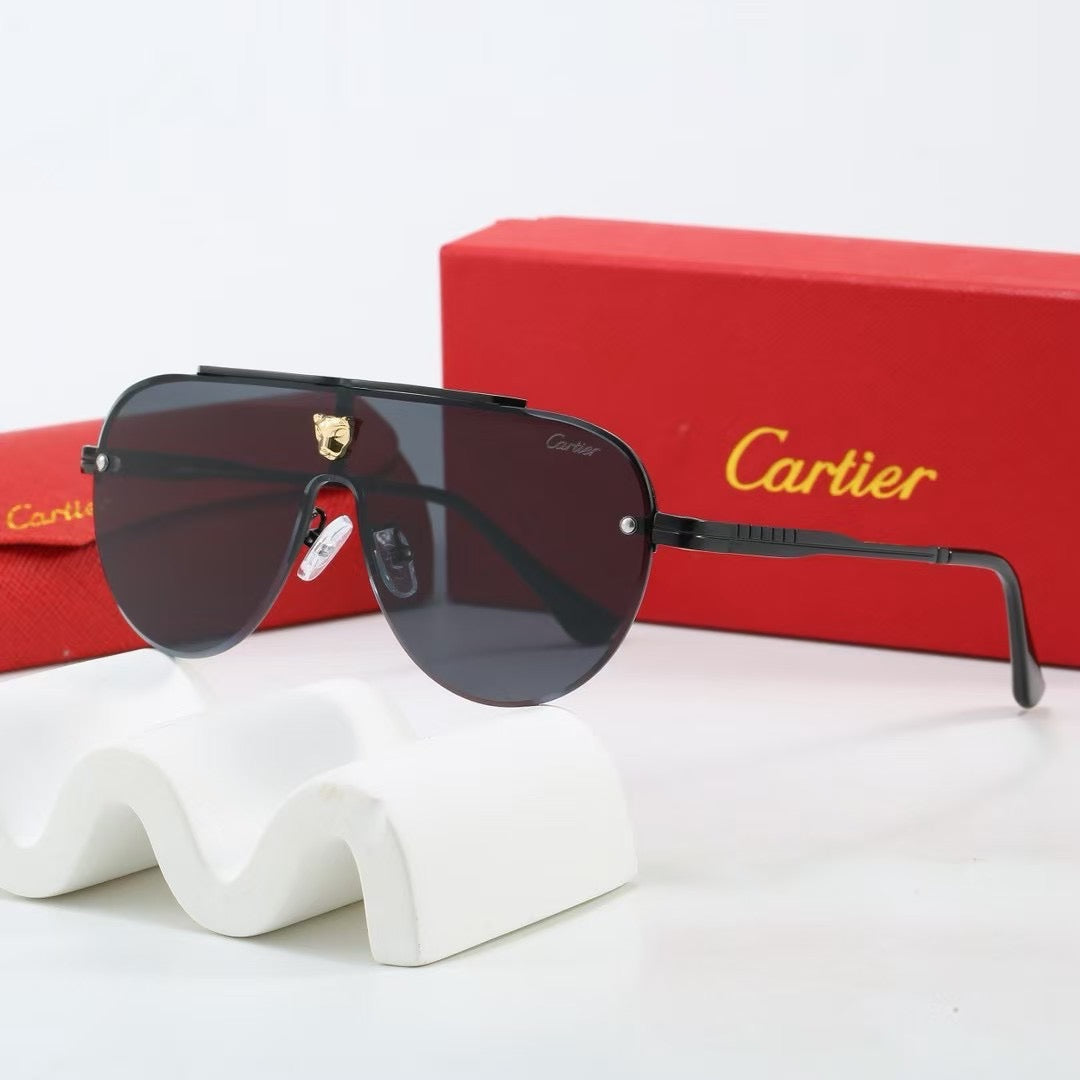Large frame unisex sunglasses