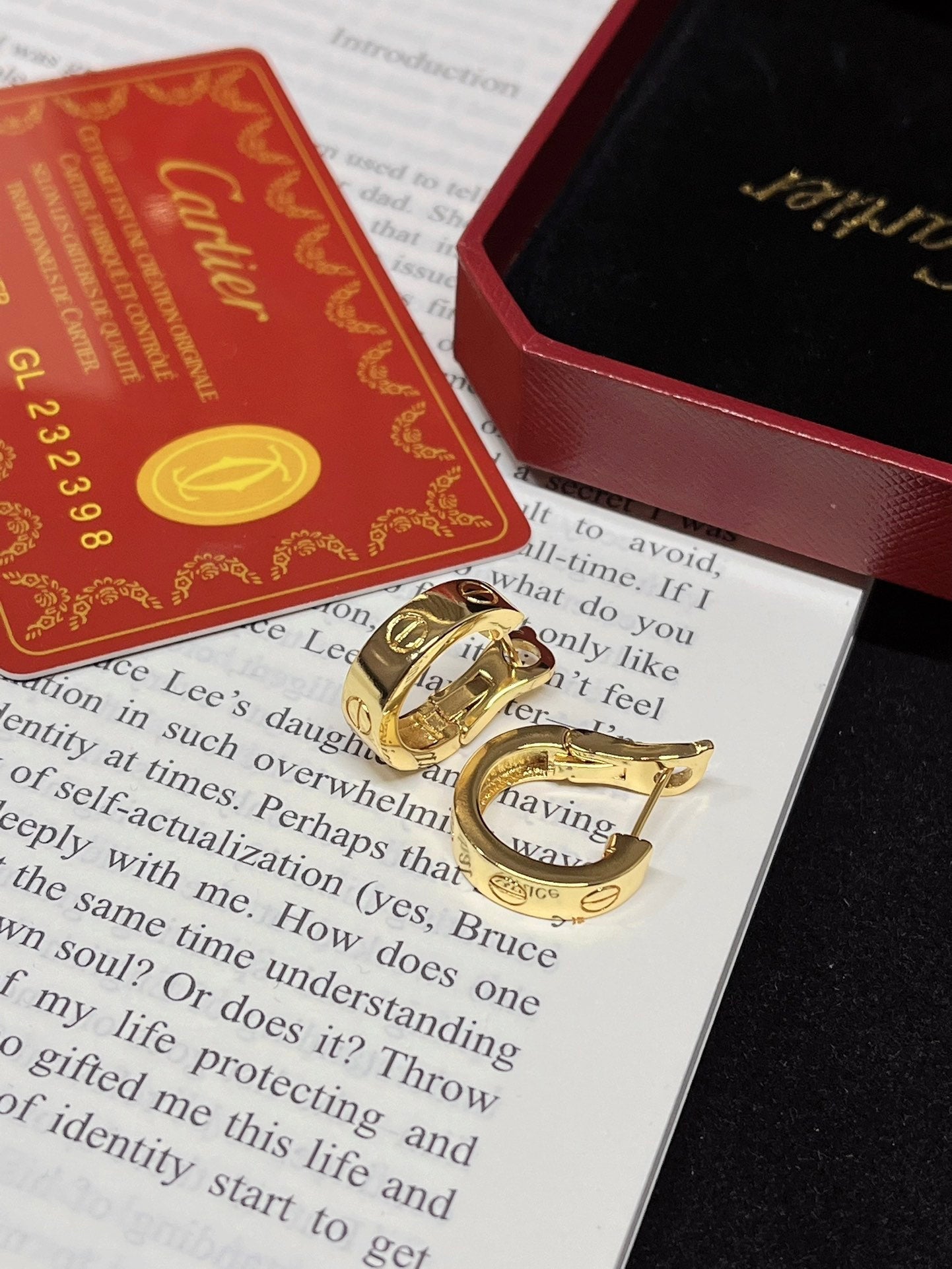 Fashion Gold Hoop Earrings