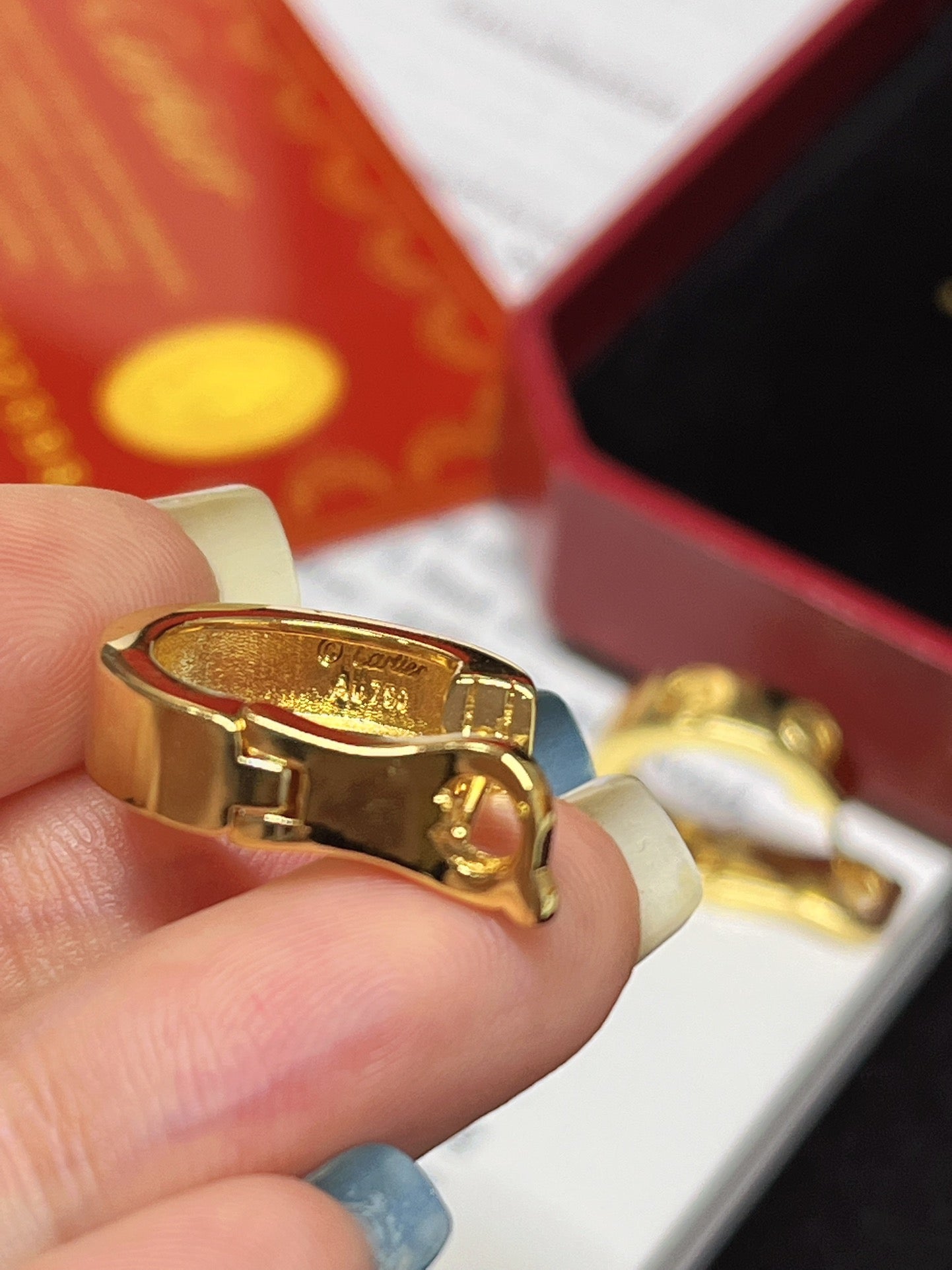 Fashion Gold Hoop Earrings