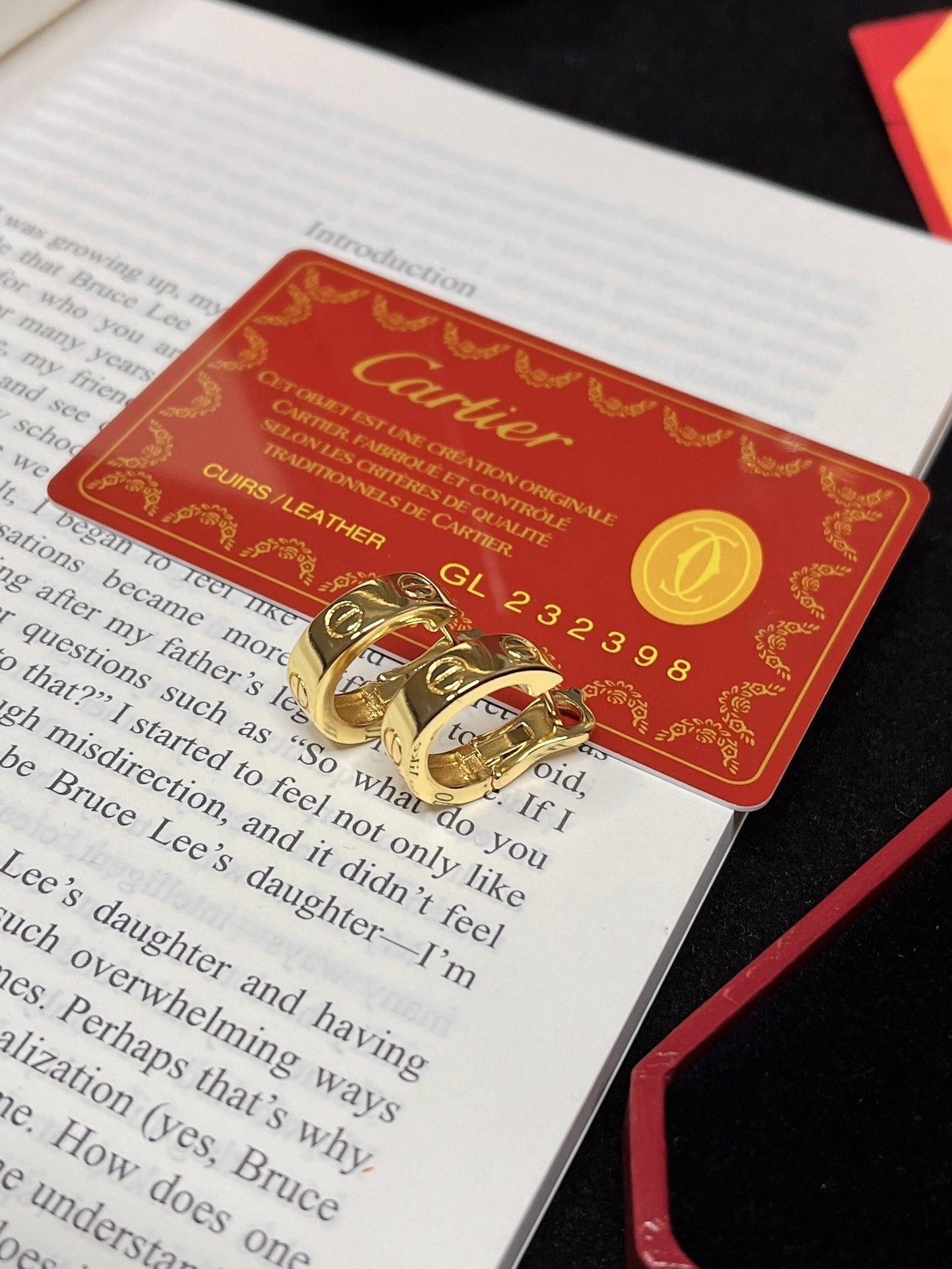 Fashion Gold Hoop Earrings