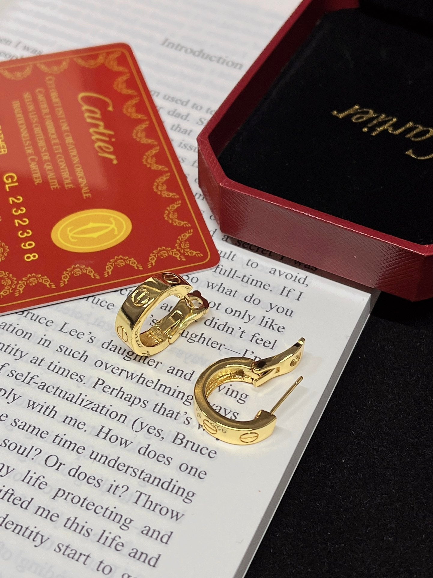 Fashion Gold Hoop Earrings